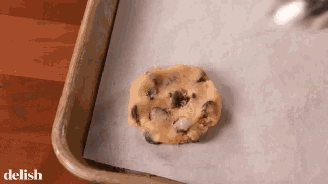 a chocolate chip cookie on a tray with the word delish on the bottom right
