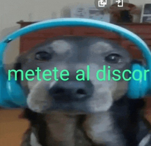 a close up of a dog wearing headphones with the words metete al discor above it