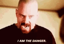 Walter White I Am The Danger GIF - Walter White I Am The Danger Breaking Bad GIFs