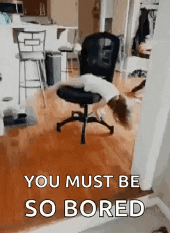 a cat is laying on top of an office chair in a room .