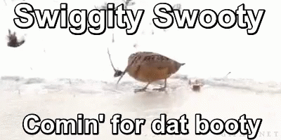 Mrw Swiggity GIF - Mrw Swiggity Swooty GIFs