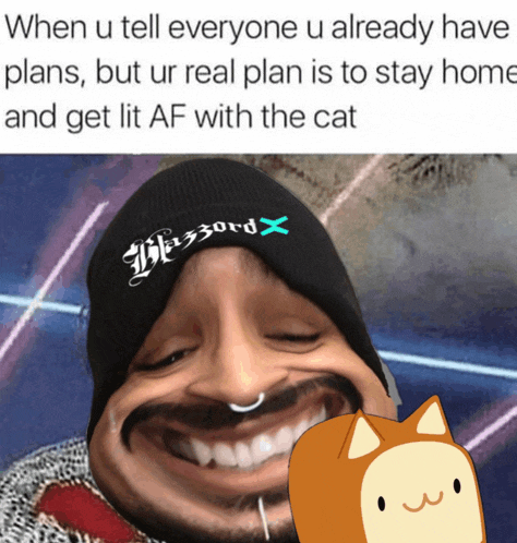 when u tell everyone u already have plans but ur real plan is to stay home get lit af with the cat