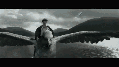 Harry Potter Free GIF - Harry Potter Free Overwhelm GIFs