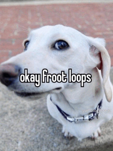 Homophobic Dog GIF - Homophobic Dog GIFs