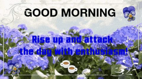 Good Morning Morning Images GIF - Good Morning Morning Images Good Morning Images New 2023 GIFs