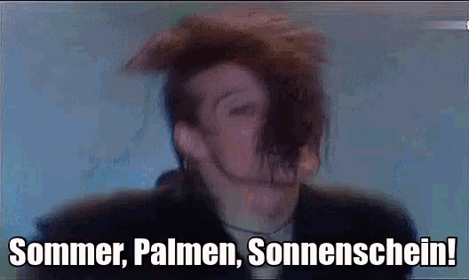 a man with a mohawk says sommer palmen sonnenschein