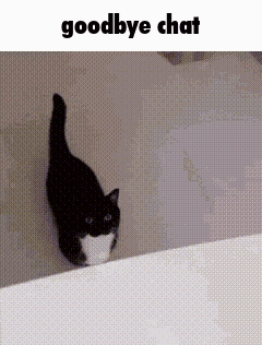 a black and white cat is walking on a wall with the words goodbye chat written above it .