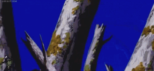 a couple of people are standing next to each other in a forest with trees in the background .