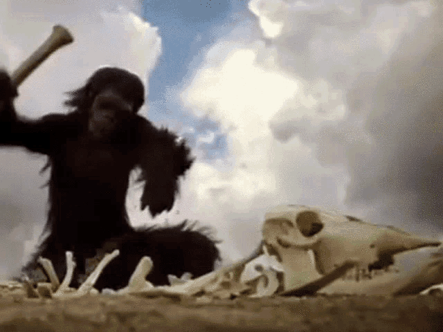 Ape Apes GIF - Ape Apes Apeish GIFs