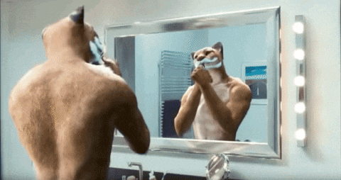 a cat is shaving in front of a mirror in the bathroom