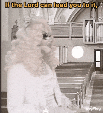 Trixie If The Lord Can Lead You GIF - Trixie If The Lord Can Lead You GIFs
