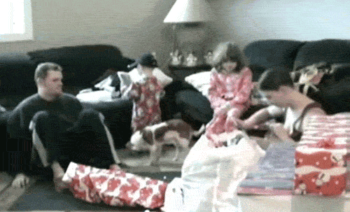 This Is The Worst Present.. GIF - Xmas Merry Christmas Holidays GIFs