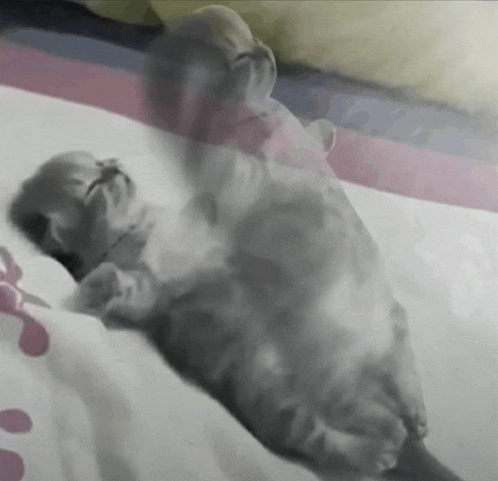 a baby is laying on a bed with a pink and blue striped blanket