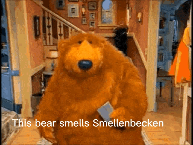 Bear Smells GIF - Bear Smells Smellenbecken GIFs