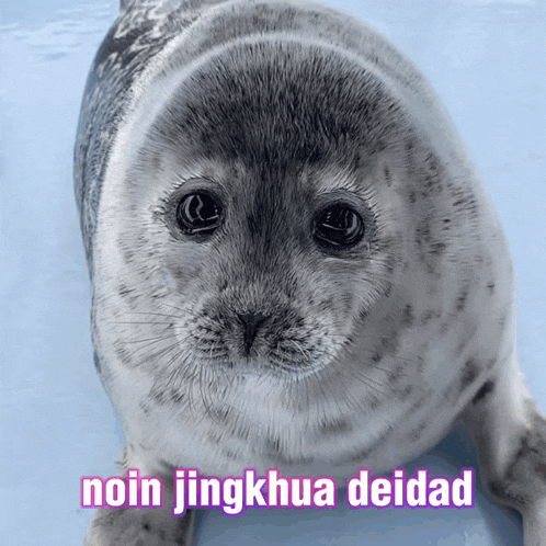 a seal with the words " noin jingkhua deidad " above it