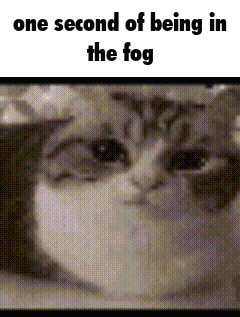 a black and white photo of a cat with the words one second of being in the fog