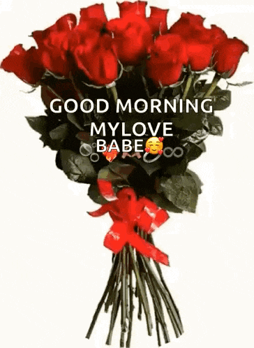 a bouquet of red roses with a red ribbon and a good morning message .