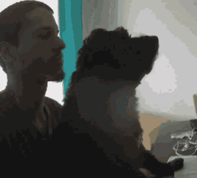 Dog Blow GIF - Dog Blow Look GIFs