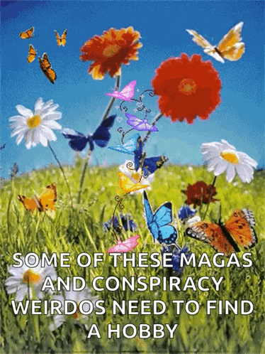 some of these magas and conspiracy weirdos need to find a hobby poster