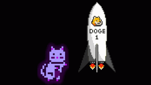 Mooncat Mooncats GIF - Mooncat Mooncats Doge GIFs