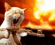 a cat is holding a gun in front of a fire with lolcat.net written on the bottom