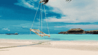 a swing hanging from a palm tree on the beach