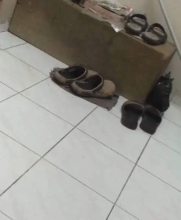 Shoes Recorded GIF - Shoes Recorded Boxes GIFs