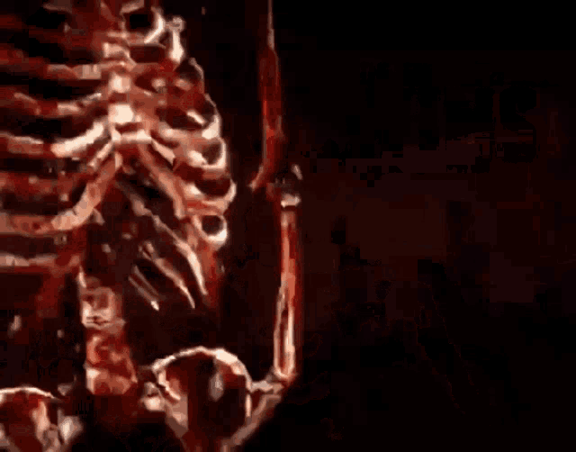 a poster for the terminator shows a skeleton