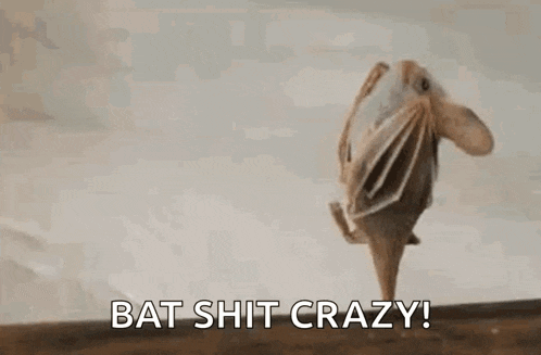 a close up of a bat with the words `` bat shit crazy '' .