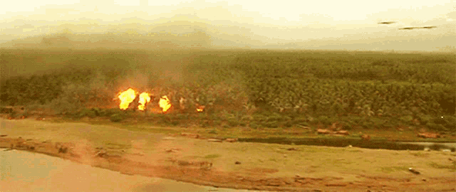 a fire burns in the middle of a lush green forest