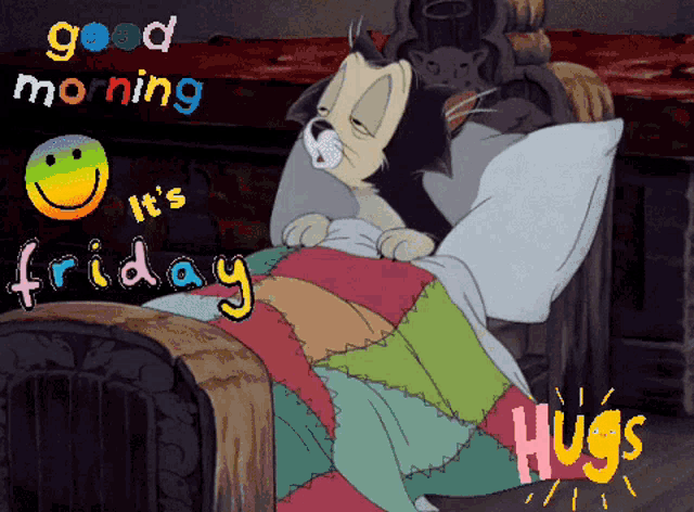 a cartoon of a cat laying in bed with the words good morning it 's friday