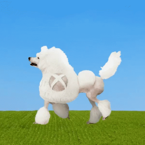 Poodle Xbox GIF - Poodle Xbox Walk GIFs