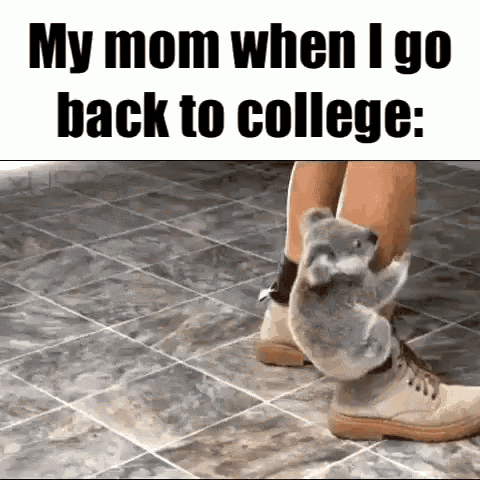 a koala bear is sitting on a person 's leg and says `` my mom when i go back to college '' .