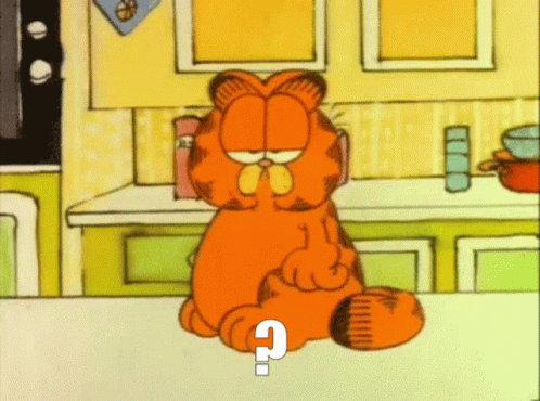 Garfield Meme GIF - Garfield Meme What GIFs