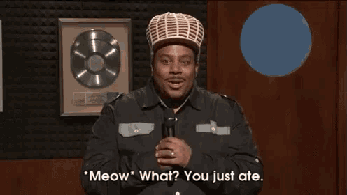 Sway From Mtv GIF - Snl Mtv Sway GIFs