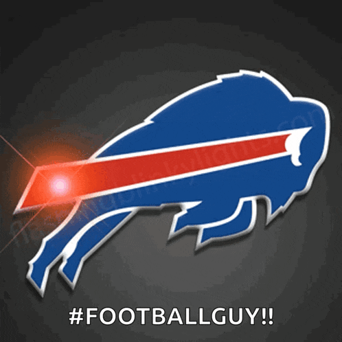 a buffalo bills logo that says #footballguy on it