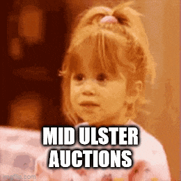 a little girl says mid ulster auctions in front of her