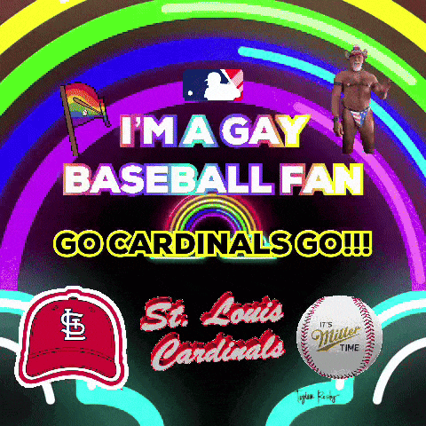 a poster that says i 'm a gay baseball fan