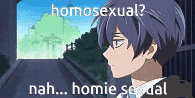 a cartoon of a boy with the words homosexual nah homie sexual written on the bottom