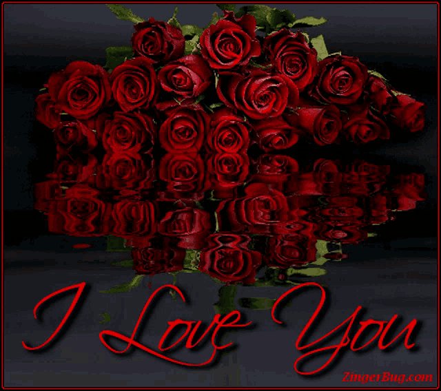 a bouquet of red roses with the words " i love you "