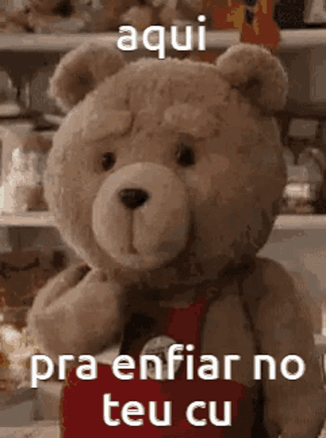 a teddy bear wearing a red apron is standing in front of a shelf with a caption .