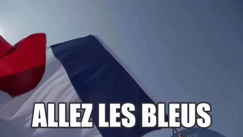 Allez Les Bleus GIF - France Euro2016 Flag GIFs