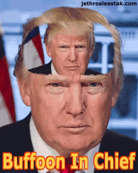 a picture of donald trump with the words " buffoon in chief " on the bottom
