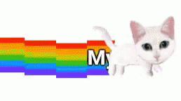 Rainbow Pride GIF - Rainbow Pride Gay GIFs