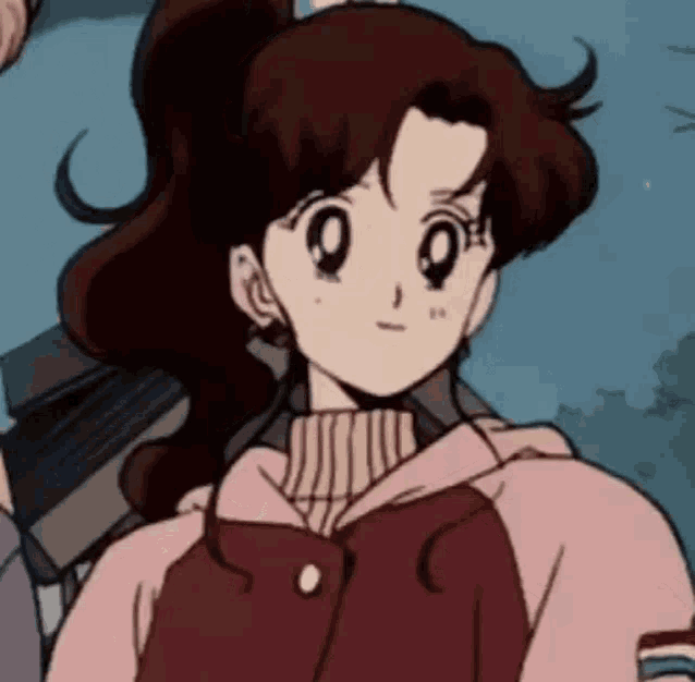 a girl with brown hair and a ponytail is wearing a pink jacket and a pink sweater .