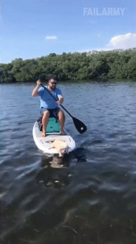 Boating Riding Boat GIF - Boating Riding Boat Relax GIFs