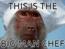 Big Man Chef Monkey GIF - Big Man Chef Monkey Chef GIFs