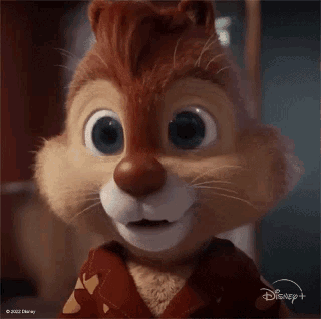 a close up of a chipmunk with the word okay in front of him .