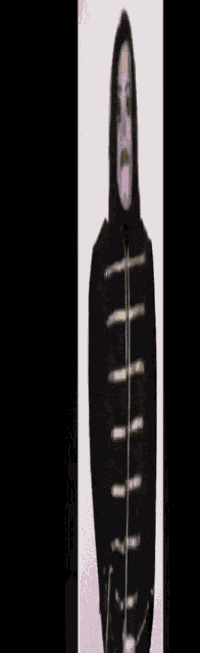 a picture of a person in a black hooded jacket with holes in it
