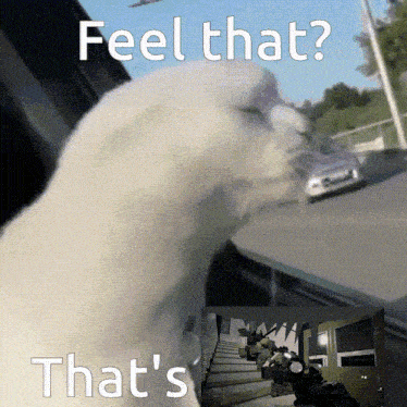 Feel That Friday GIF - Feel That Friday Staircase GIFs